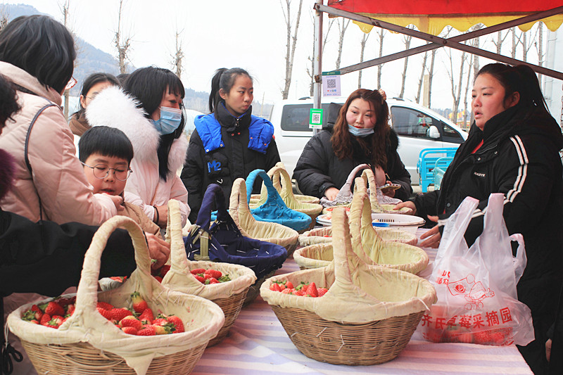 ��ݮ�h��c�´� | ���f�(zh��n)��ɽ�ڲ�ݮ��ժ��Ȥ���������w�e����ζ