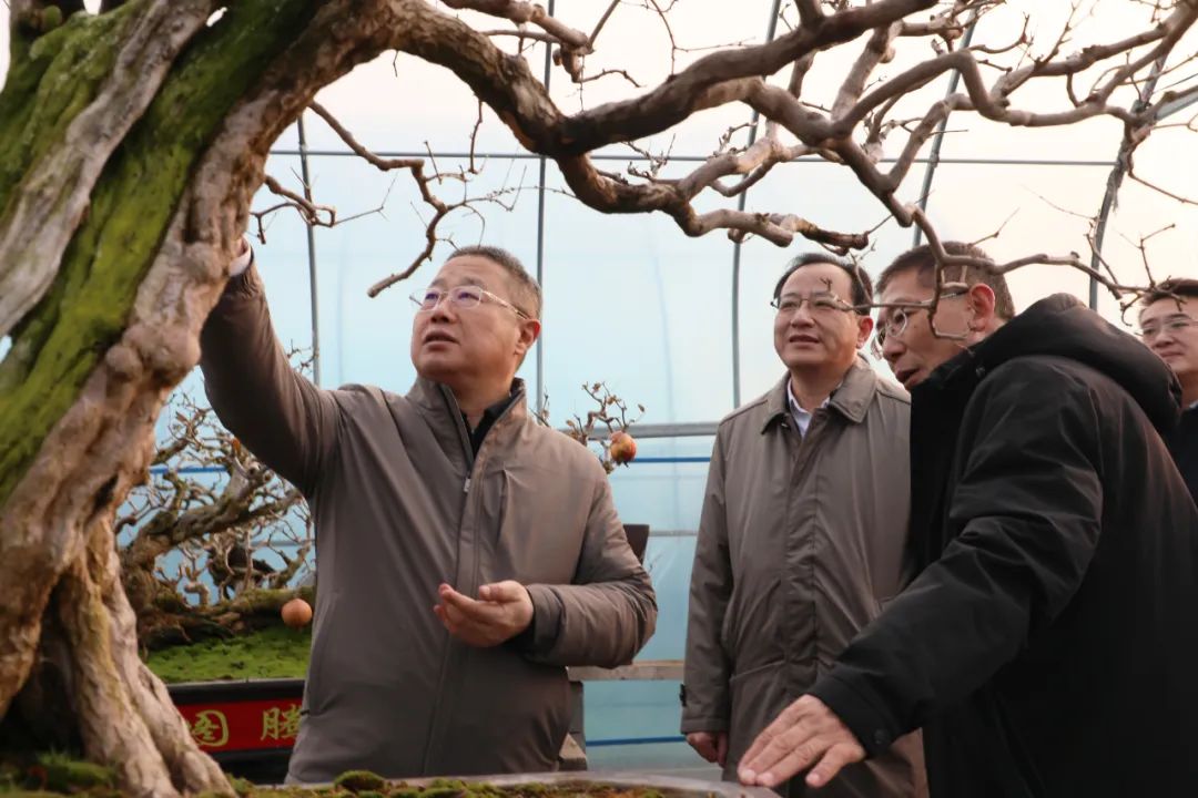 ���f��ί����ӛ������ί��ӛ�����ށ�F�ǅ^(q��)�{(di��o)��ʯ��a(ch��n)�I(y��)�l(f��)չ����